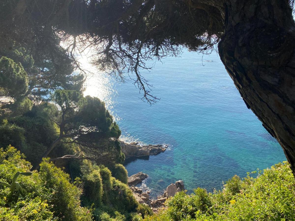 Casa Brisa Villa Blanes Exterior photo